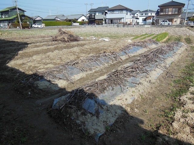DSCN0079.JPG