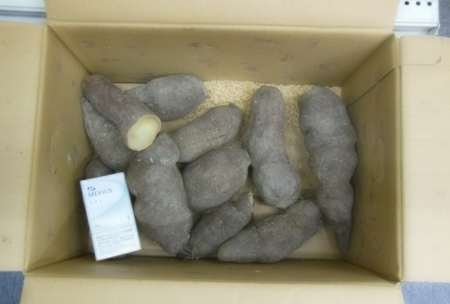 DSCN0401.JPG