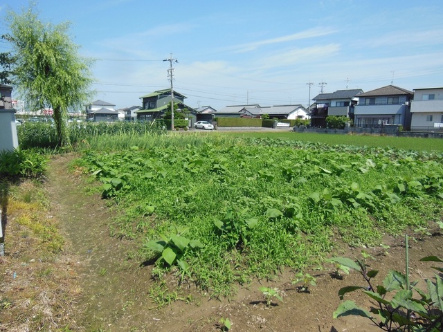 DSCN0462.JPG