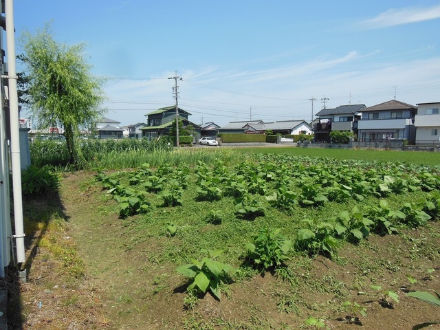 DSCN0467.JPG