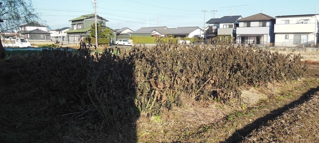 DSCN0537.JPG