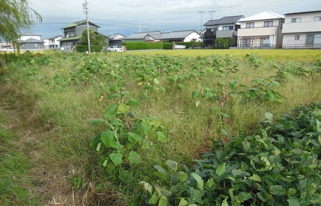 DSCN0568.JPG