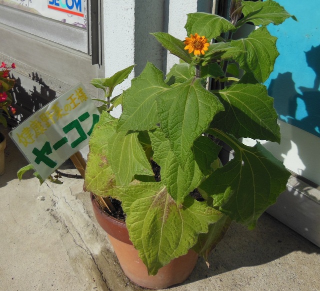 DSCN0626.JPG