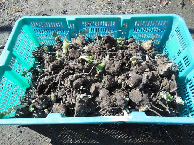 DSCN0635.JPG
