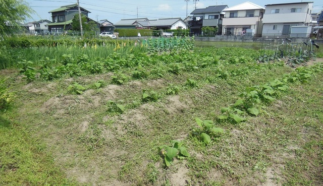DSCN0675.JPG
